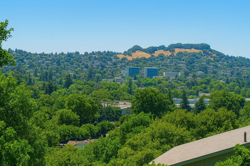 Tile Roof Replacement in Castro Valley, CA